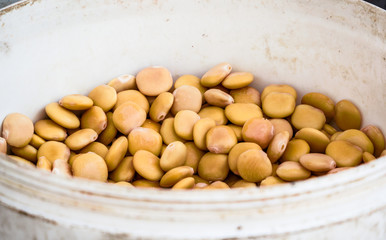 Vegetarian food with few calories