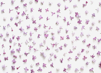 Romantic floral pattern made of lilac petals isolated on white background. Flat lay, top view.