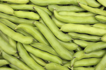 Broad beans
