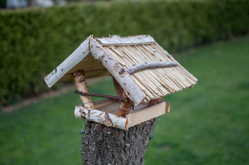 Bird house