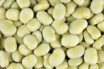 Broad beans