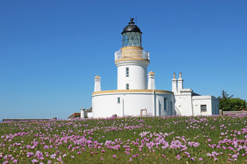 Chanonry Point, Fortrose, Schottland