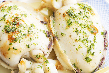 Close-up of cuttlefish. Food.