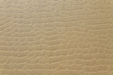 Rippelmarken im Sand