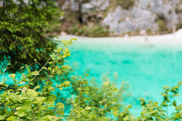 Obraz na płótnie Canvas Crystalline water. Mountain creek. Chiusaforte, Friuli