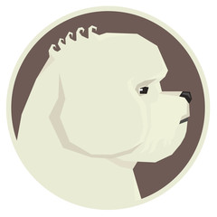 Dog collection Bichon Frise Geometric style Avatar icon round