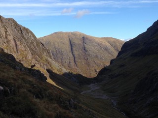 Stag in Glen Coe