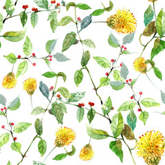 Field flowers, seamless pattern, watercolor