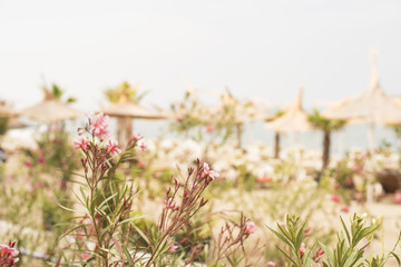 Blurred Flowers and Beach Background. Abstract blur beautiful bay with umbrella and chair on sea and beach