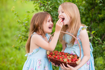 Two little sisters eeding each other organic strawberries in the garden.