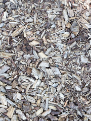 Pile of wooden chips