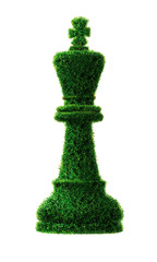 Chess King grass