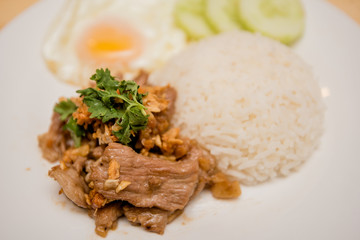 Pork fried garlic with rice and fried egg, Thai food