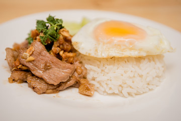 Pork fried garlic with rice and fried egg, Thai food