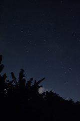 Stars shining in the night sky