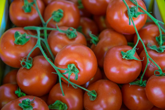 Fresh organic tomatoes as background. Close up