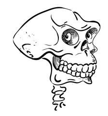 Cartoon image of ancient skull. An artistic freehand picture.