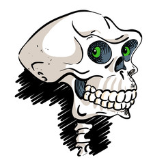 Cartoon image of ancient skull. An artistic freehand picture.