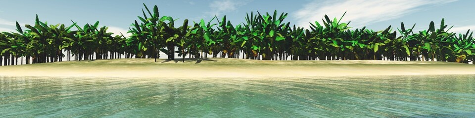 Obraz premium Beach with palm trees, panorama of a tropical beach with palm trees