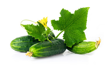 Green cucumber with leaf and flower on a white background