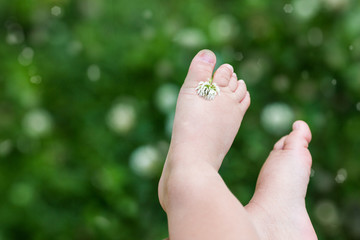 Baby's foot in nature