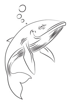 Cartoon image of happy whale. An artistic freehand picture.