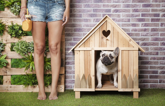 Woman standing next to French bulldog inside wooden dog house