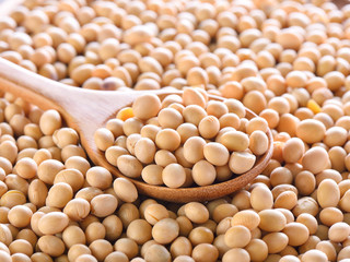 soybean on white wooden background