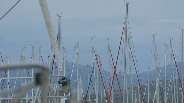 View in the port of a lot of ships masts.