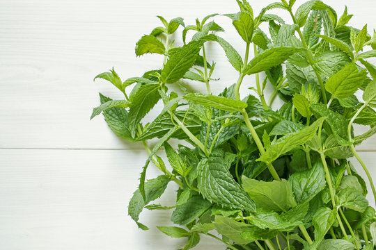 bunch of green fresh mint on white wooden background