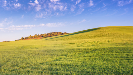 Fototapeta premium Landscape in the morning