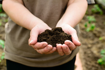 soil in hands