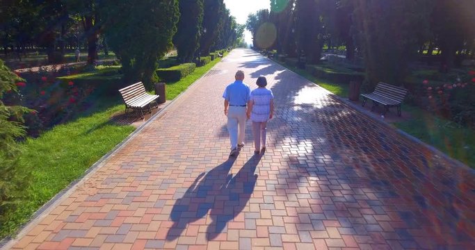 Aerial footage of senior couple walking holding hands outdoors in summer park. 4k