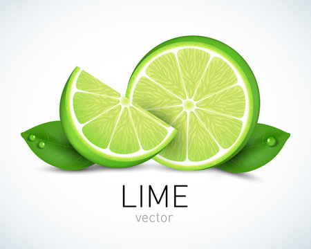 Fresh Lime slice with leaves isolated on white background. Vector illustration for decorative poster, emblem natural product, farmers market. Perfect for packaging design of cosmetics and food.