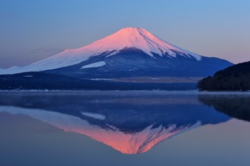 Fototapeta na wymiar 紅富士