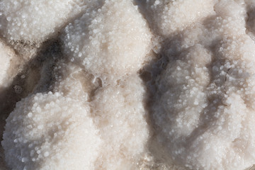 Natural textures and Patterns