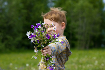 Little boy in the field of Violets