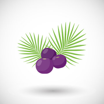 Acai Berries Vector Flat Icon