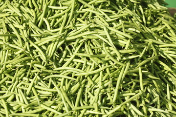 Frische Buschbohnen auf einem Marktstand