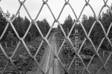 The railway in the forest goes into the distance