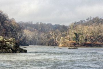 Bare Trees on Islands in River in Winter