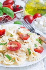 Pasta salad with tie pasta, feta cheese, tomatoes, mustard and basil, vertical