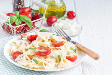 Pasta salad with tie pasta, feta cheese, tomatoes, mustard and basil, copy space, horizontal