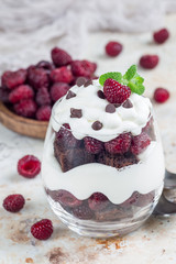 Trifle dessert with brownie, cream cheese frosting and raspberry in glass, vertical