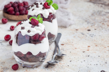 Trifle dessert with brownie, cream cheese frosting and raspberry in glass, copy space