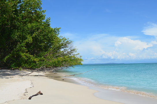 Isla Bastimentos Bocas Del Toro Panama