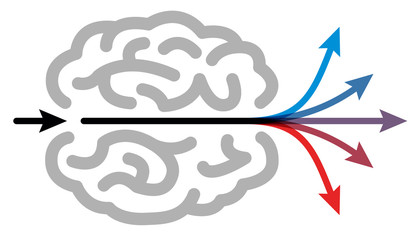 Labyrinthe cerveau 4 © P666