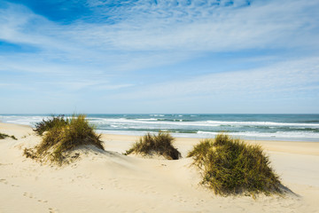 Sand dunes at Costa Nova beach. Aveiro.  Portugal