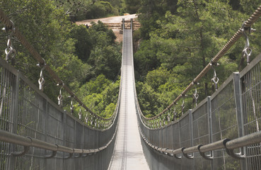 hanging bridge - israel
