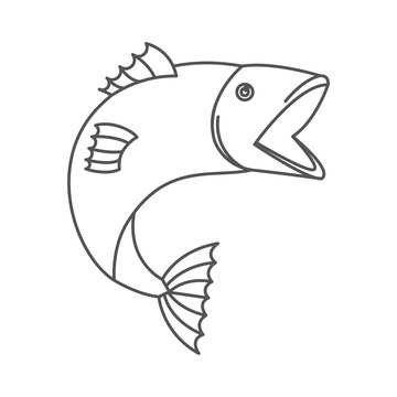 sketch silhouette of open mouth trout fish vector illustration